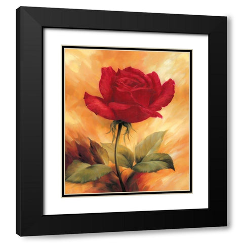 The Red Rose Black Modern Wood Framed Art Print with Double Matting by Skorupska, Patrycja