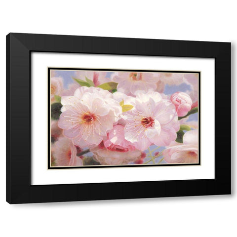 American Flowers I Black Modern Wood Framed Art Print with Double Matting by Murphy, John