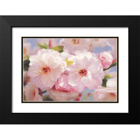 American Flowers I Black Modern Wood Framed Art Print with Double Matting by Murphy, John