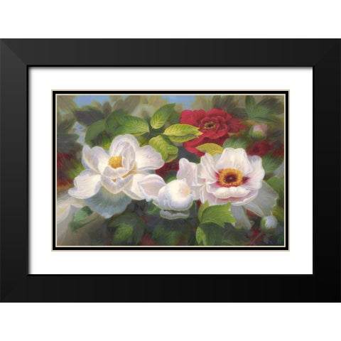 American Flowers I Black Modern Wood Framed Art Print with Double Matting by Murphy, John