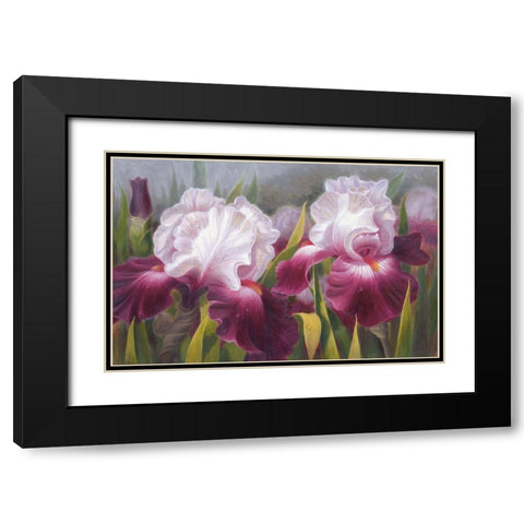 American Flowers VI Black Modern Wood Framed Art Print with Double Matting by Murphy, John