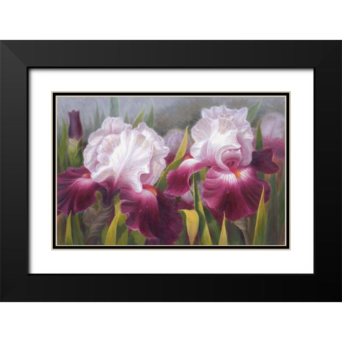 American Flowers VI Black Modern Wood Framed Art Print with Double Matting by Murphy, John