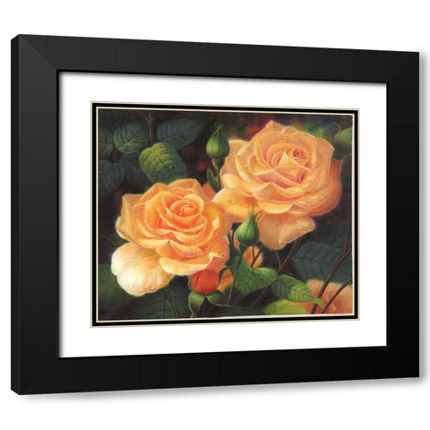 American Flowers VII Black Modern Wood Framed Art Print with Double Matting by Murphy, John
