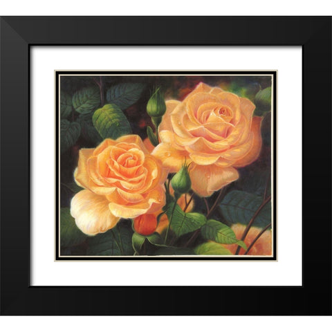 American Flowers VII Black Modern Wood Framed Art Print with Double Matting by Murphy, John