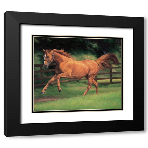 Running Brown Horse Black Modern Wood Framed Art Print with Double Matting by Petrikova, Eva