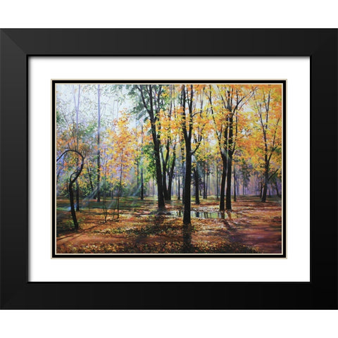 Park in Autumn Black Modern Wood Framed Art Print with Double Matting by Cernov, Ivan