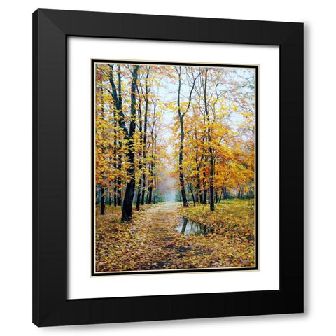 When Autumn plays with you Black Modern Wood Framed Art Print with Double Matting by Cernov, Ivan