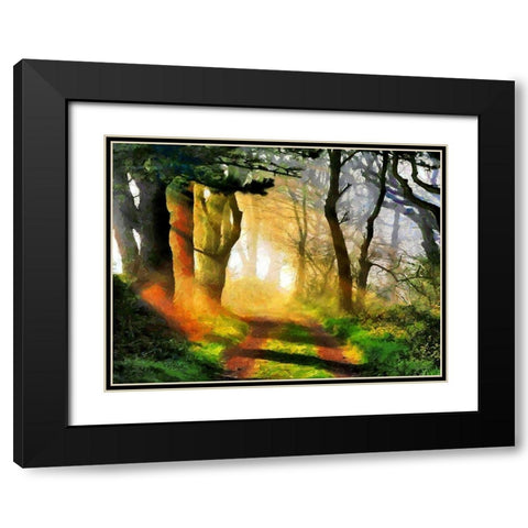 Sunshine between Trees Black Modern Wood Framed Art Print with Double Matting by Medeiros, Celito