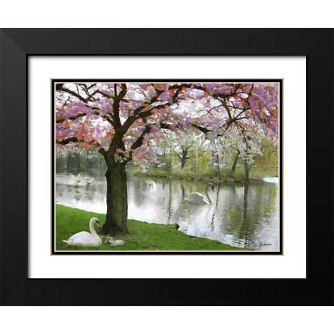 Swans in Spring Black Modern Wood Framed Art Print with Double Matting by Medeiros, Celito