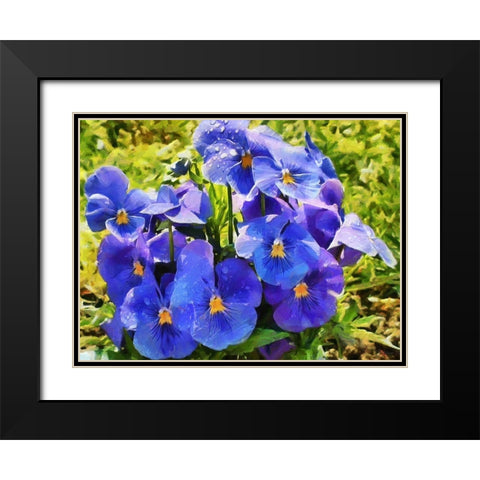 Pansies Black Modern Wood Framed Art Print with Double Matting by Medeiros, Celito