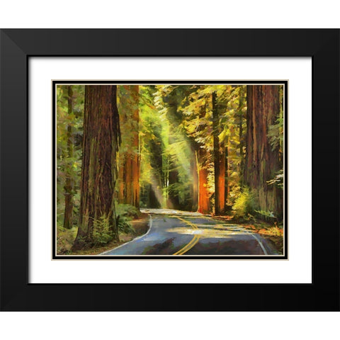 Street to The Sequoia NP Black Modern Wood Framed Art Print with Double Matting by Medeiros, Celito