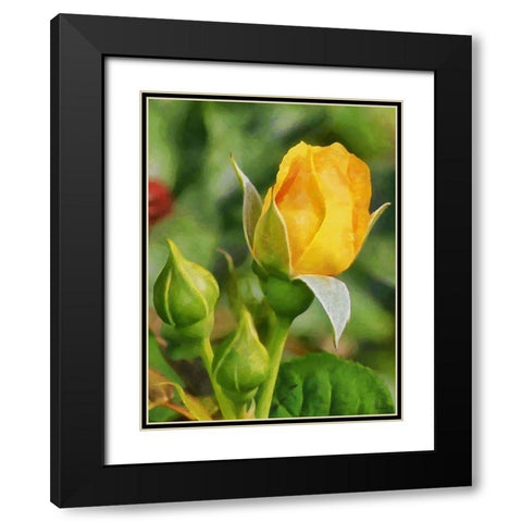 One Yellow Rose Black Modern Wood Framed Art Print with Double Matting by Medeiros, Celito