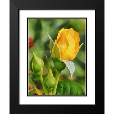 One Yellow Rose Black Modern Wood Framed Art Print with Double Matting by Medeiros, Celito