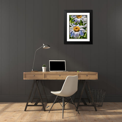 Blue Daisies Black Modern Wood Framed Art Print with Double Matting by Medeiros, Celito