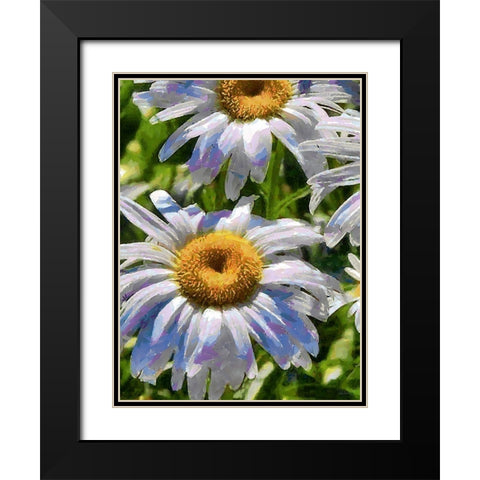 Blue Daisies Black Modern Wood Framed Art Print with Double Matting by Medeiros, Celito
