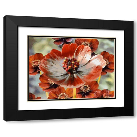 Red Poppies Black Modern Wood Framed Art Print with Double Matting by Medeiros, Celito