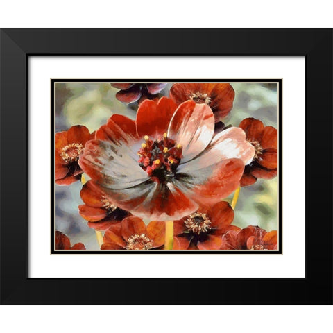 Red Poppies Black Modern Wood Framed Art Print with Double Matting by Medeiros, Celito