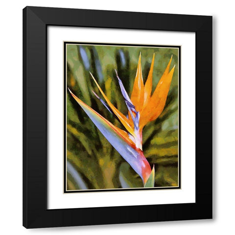 Beautiful Orchid I Black Modern Wood Framed Art Print with Double Matting by Medeiros, Celito