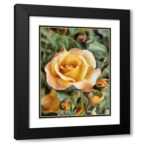Yellow Roses Black Modern Wood Framed Art Print with Double Matting by Medeiros, Celito