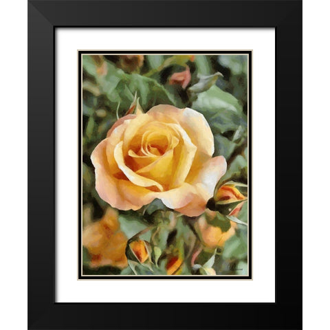 Yellow Roses Black Modern Wood Framed Art Print with Double Matting by Medeiros, Celito
