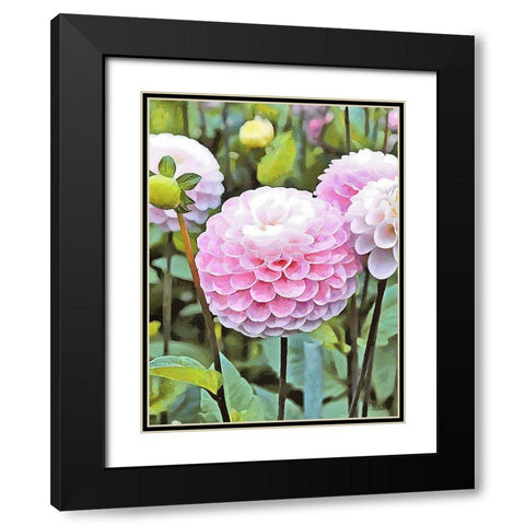 Pink Flowers Black Modern Wood Framed Art Print with Double Matting by Medeiros, Celito