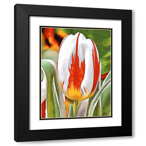 Tulip in White and Orange Colors Black Modern Wood Framed Art Print with Double Matting by Medeiros, Celito