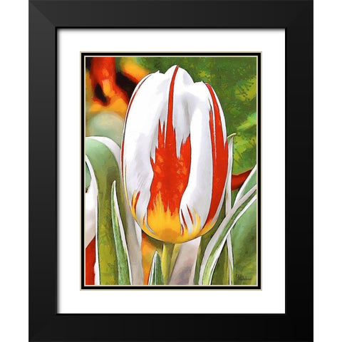 Tulip in White and Orange Colors Black Modern Wood Framed Art Print with Double Matting by Medeiros, Celito