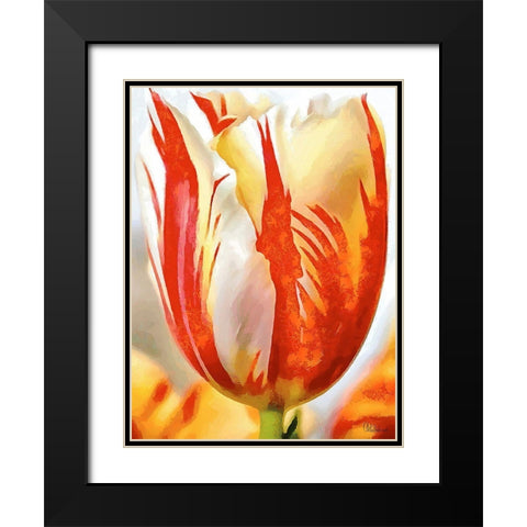 Tulip in White and Orange Colors II Black Modern Wood Framed Art Print with Double Matting by Medeiros, Celito
