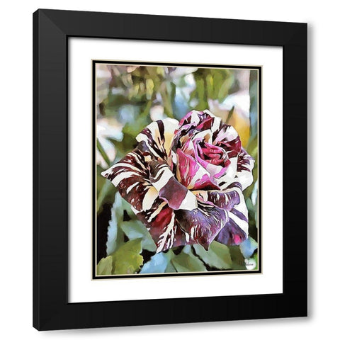 Tulip in White and Purple Colors Black Modern Wood Framed Art Print with Double Matting by Medeiros, Celito