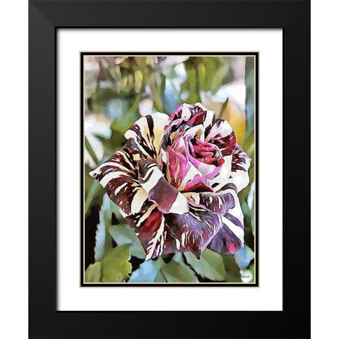 Tulip in White and Purple Colors Black Modern Wood Framed Art Print with Double Matting by Medeiros, Celito