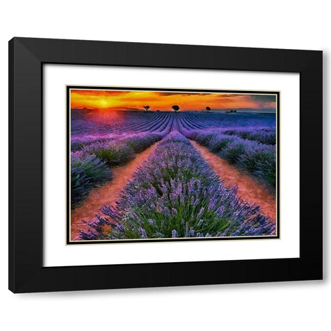 Lavender Field IV Black Modern Wood Framed Art Print with Double Matting by Medeiros, Celito