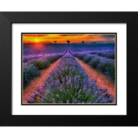 Lavender Field IV Black Modern Wood Framed Art Print with Double Matting by Medeiros, Celito