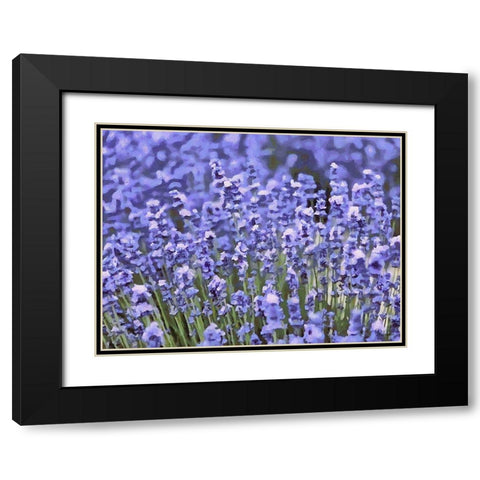 Lavender Field IX Black Modern Wood Framed Art Print with Double Matting by Medeiros, Celito