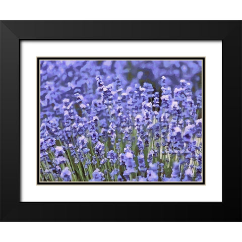 Lavender Field IX Black Modern Wood Framed Art Print with Double Matting by Medeiros, Celito