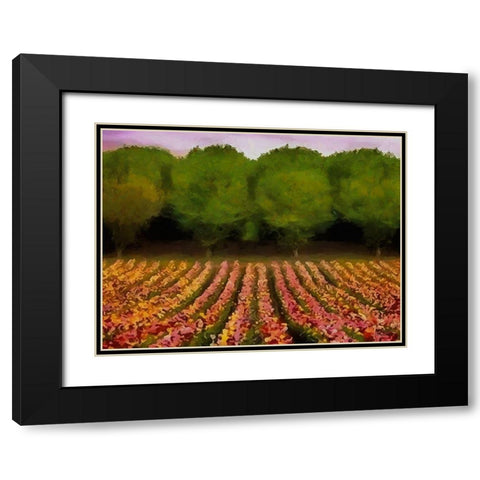 Flower Field II Black Modern Wood Framed Art Print with Double Matting by Medeiros, Celito