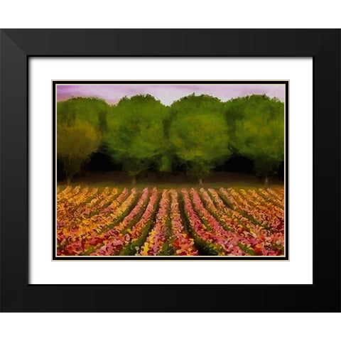 Flower Field II Black Modern Wood Framed Art Print with Double Matting by Medeiros, Celito