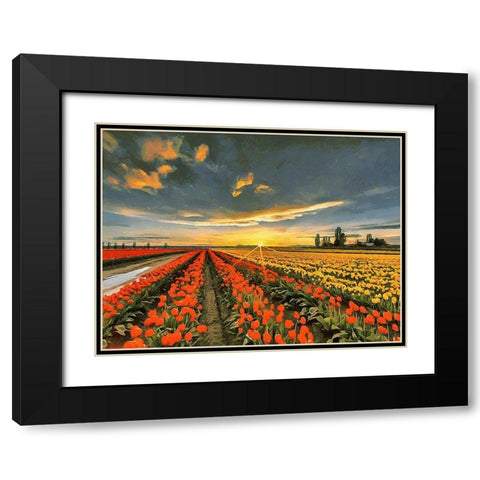 Tulip Field I Black Modern Wood Framed Art Print with Double Matting by Medeiros, Celito