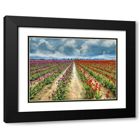 Tulip Field II Black Modern Wood Framed Art Print with Double Matting by Medeiros, Celito