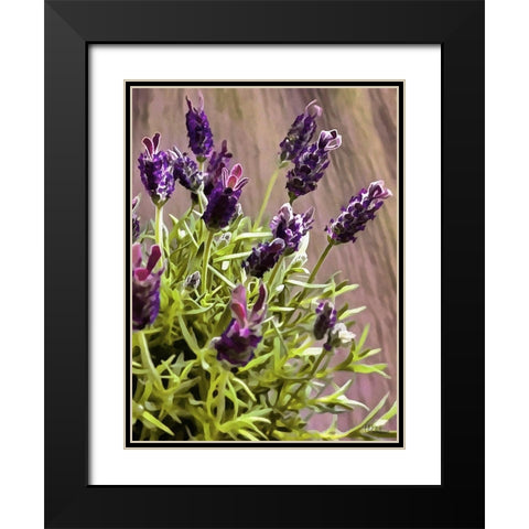 Purple Flower I Black Modern Wood Framed Art Print with Double Matting by Medeiros, Celito