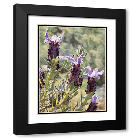 Purple Flower II Black Modern Wood Framed Art Print with Double Matting by Medeiros, Celito