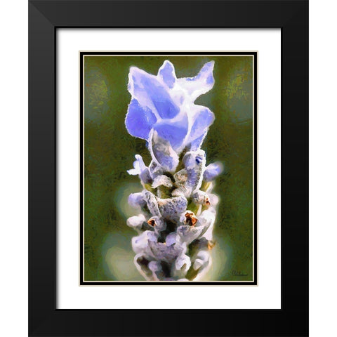 Purple Flower III Black Modern Wood Framed Art Print with Double Matting by Medeiros, Celito