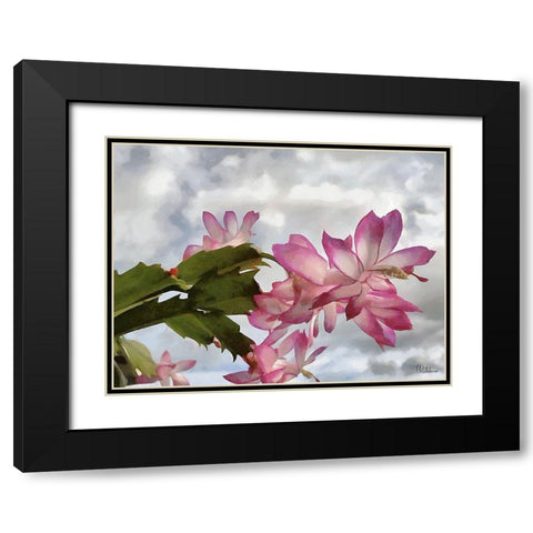 Cactus Flower II Black Modern Wood Framed Art Print with Double Matting by Medeiros, Celito