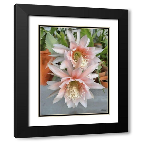 Cactus Flower III Black Modern Wood Framed Art Print with Double Matting by Medeiros, Celito