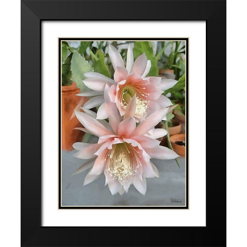 Cactus Flower III Black Modern Wood Framed Art Print with Double Matting by Medeiros, Celito