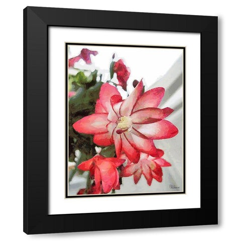 Cactus Flower IV Black Modern Wood Framed Art Print with Double Matting by Medeiros, Celito