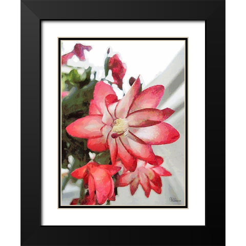 Cactus Flower IV Black Modern Wood Framed Art Print with Double Matting by Medeiros, Celito