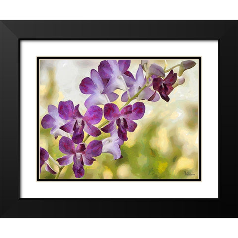 Orchids XII Black Modern Wood Framed Art Print with Double Matting by Medeiros, Celito