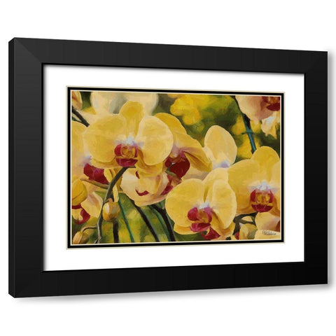 Orchids XIII Black Modern Wood Framed Art Print with Double Matting by Medeiros, Celito