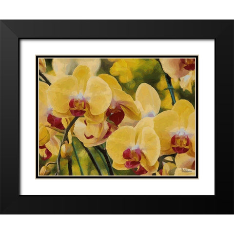 Orchids XIII Black Modern Wood Framed Art Print with Double Matting by Medeiros, Celito