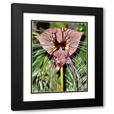 Orchids XVI Black Modern Wood Framed Art Print with Double Matting by Medeiros, Celito